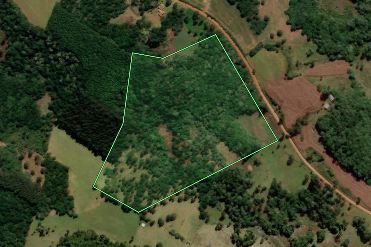 Imagem de satélite do imóvel rural em Campo Belo do Sul (SC), com o contorno declarado no CAR desenhado por cima.
