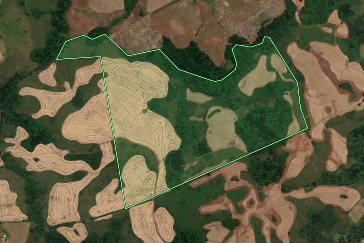 Imagem de satélite do imóvel rural em Campo Belo do Sul (SC), com o contorno declarado no CAR desenhado por cima.