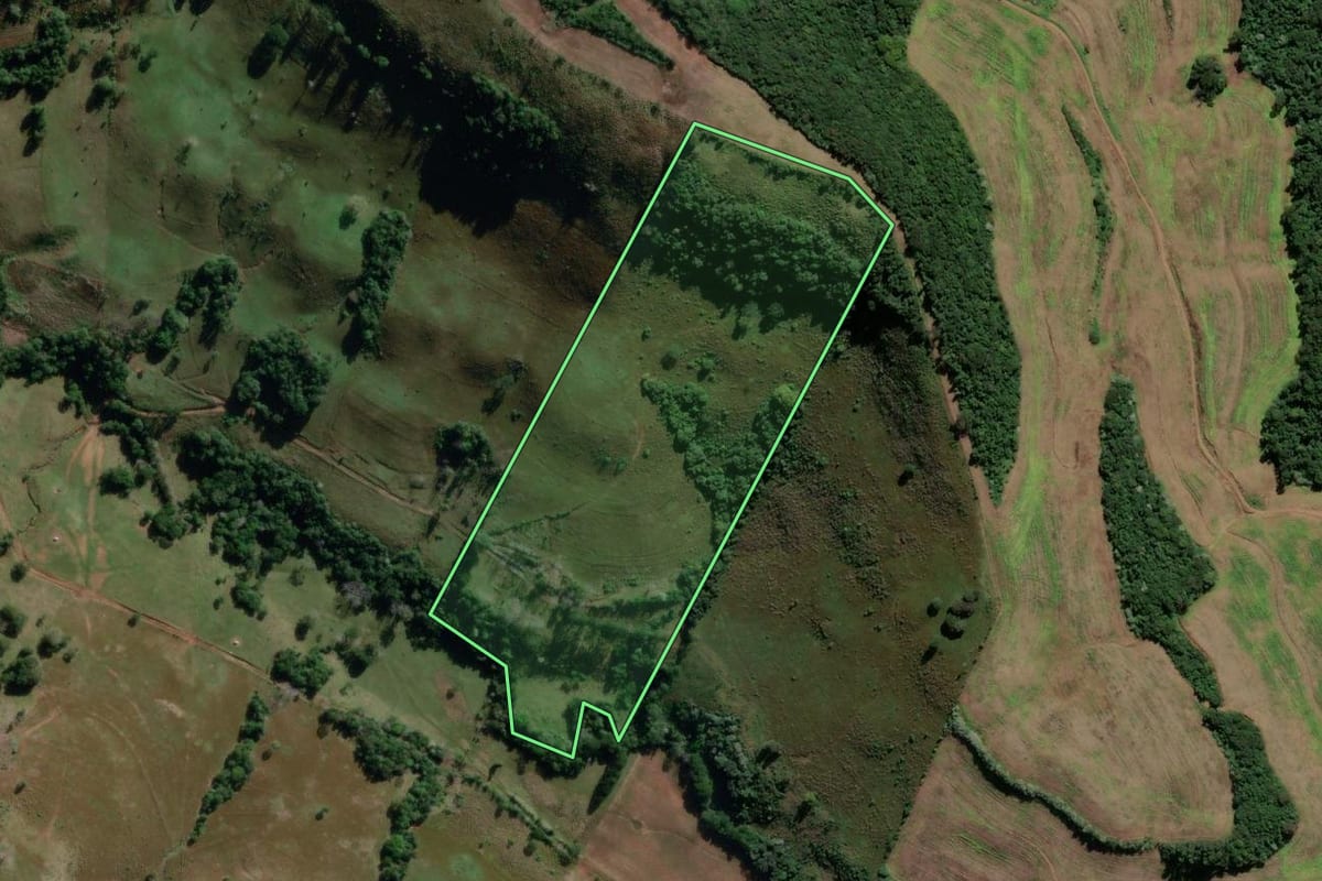 Imagem de satélite do imóvel rural em Campo Erê (SC), com o contorno declarado no CAR desenhado por cima.