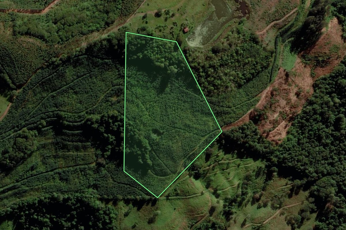 Imagem de satélite do imóvel rural em Campo Erê (SC), com o contorno declarado no CAR desenhado por cima.