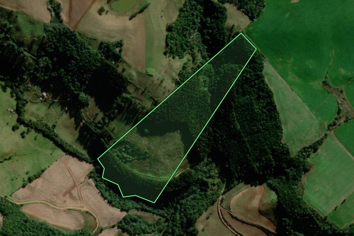 Imagem de satélite do imóvel rural em Campo Erê (SC), com o contorno declarado no CAR desenhado por cima.
