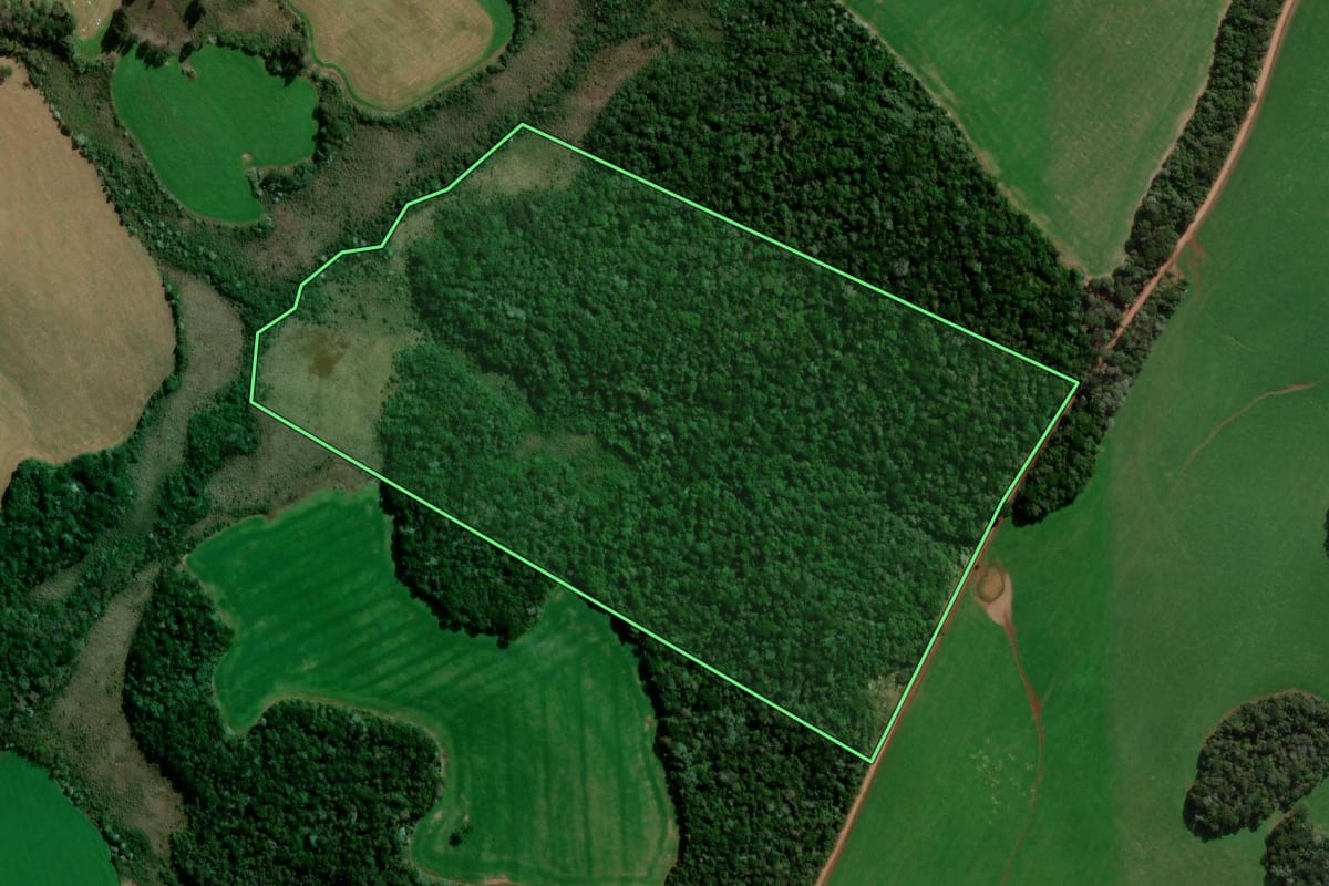 Imagem de satélite do imóvel rural em Campo Erê (SC), com o contorno declarado no CAR desenhado por cima.