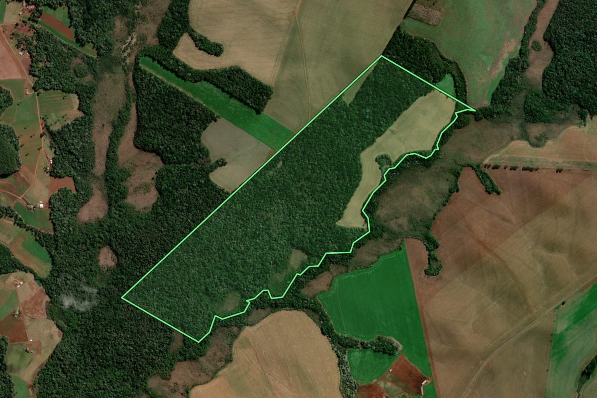 Imagem de satélite do imóvel rural em Campo Erê (SC), com o contorno declarado no CAR desenhado por cima.