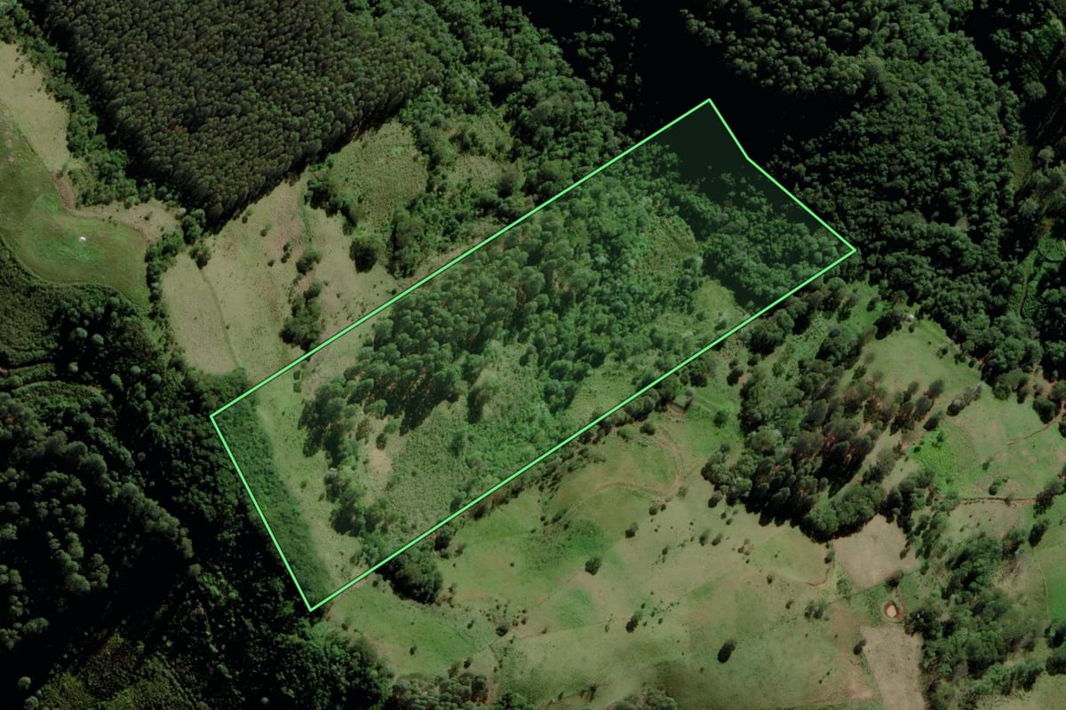 Imagem de satélite do imóvel rural em Campo Erê (SC), com o contorno declarado no CAR desenhado por cima.