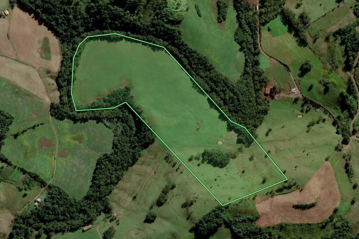 Imagem de satélite do imóvel rural em Campo Erê (SC), com o contorno declarado no CAR desenhado por cima.
