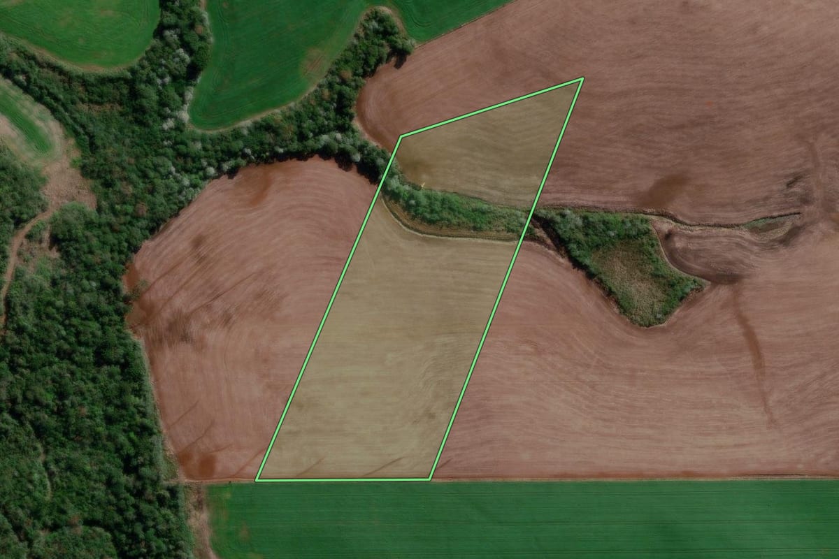 Imagem de satélite do imóvel rural em Campo Erê (SC), com o contorno declarado no CAR desenhado por cima.