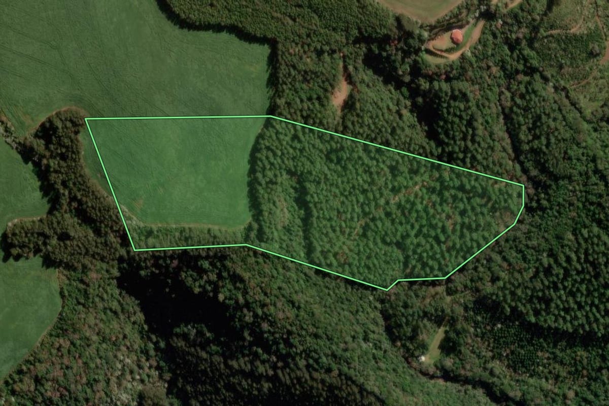 Imagem de satélite do imóvel rural em Campo Erê (SC), com o contorno declarado no CAR desenhado por cima.