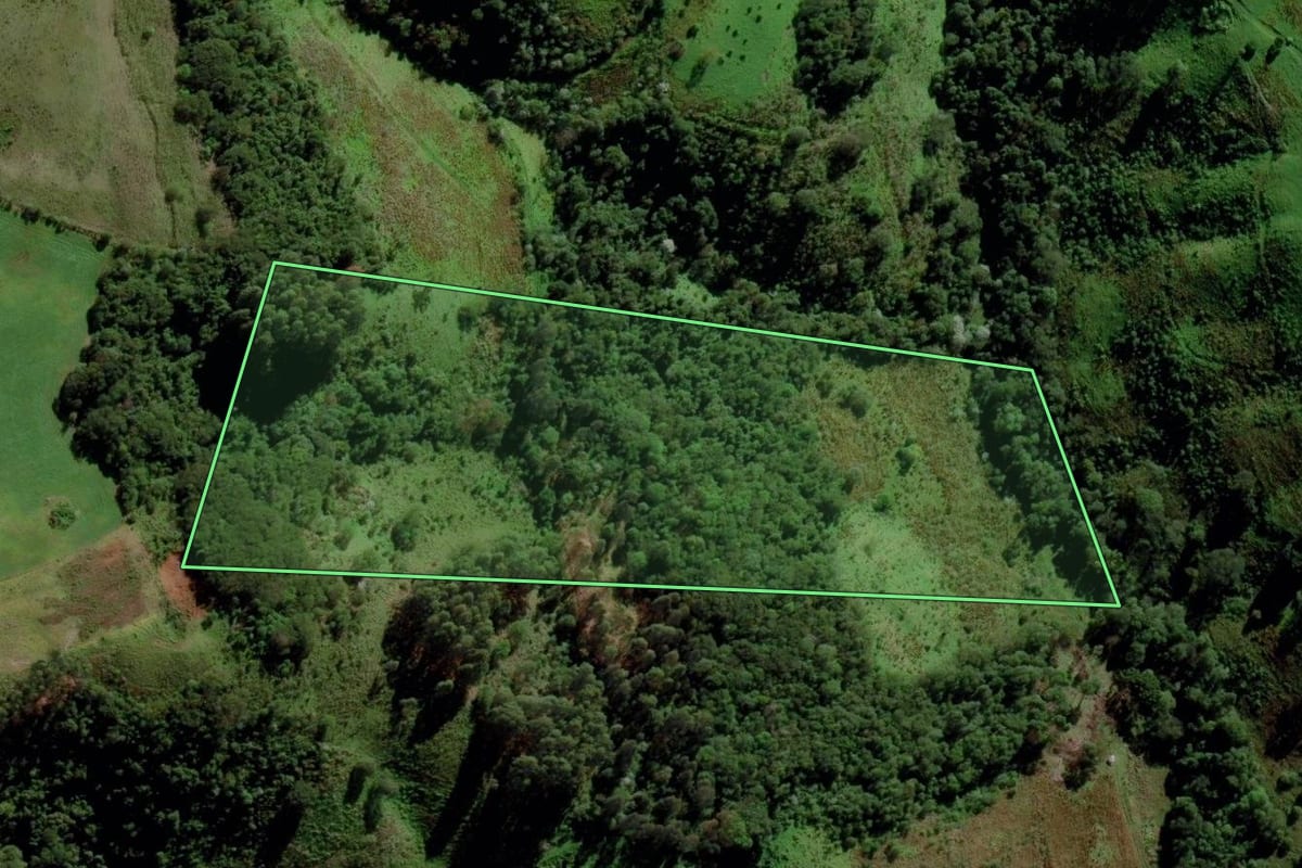 Imagem de satélite do imóvel rural em Campo Erê (SC), com o contorno declarado no CAR desenhado por cima.