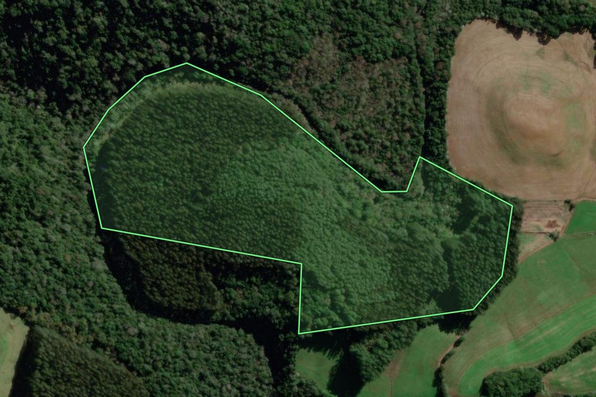Imagem de satélite do imóvel rural em Campo Erê (SC), com o contorno declarado no CAR desenhado por cima.