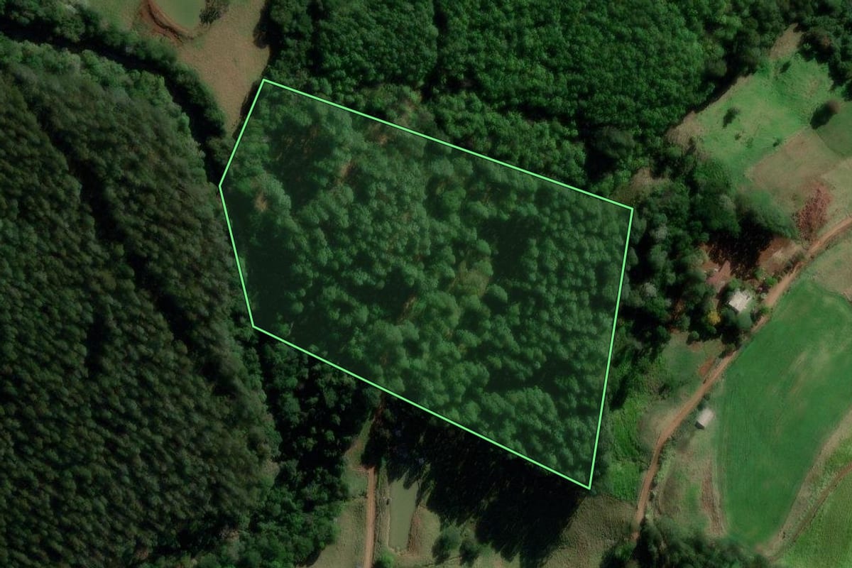 Imagem de satélite do imóvel rural em Campo Erê (SC), com o contorno declarado no CAR desenhado por cima.