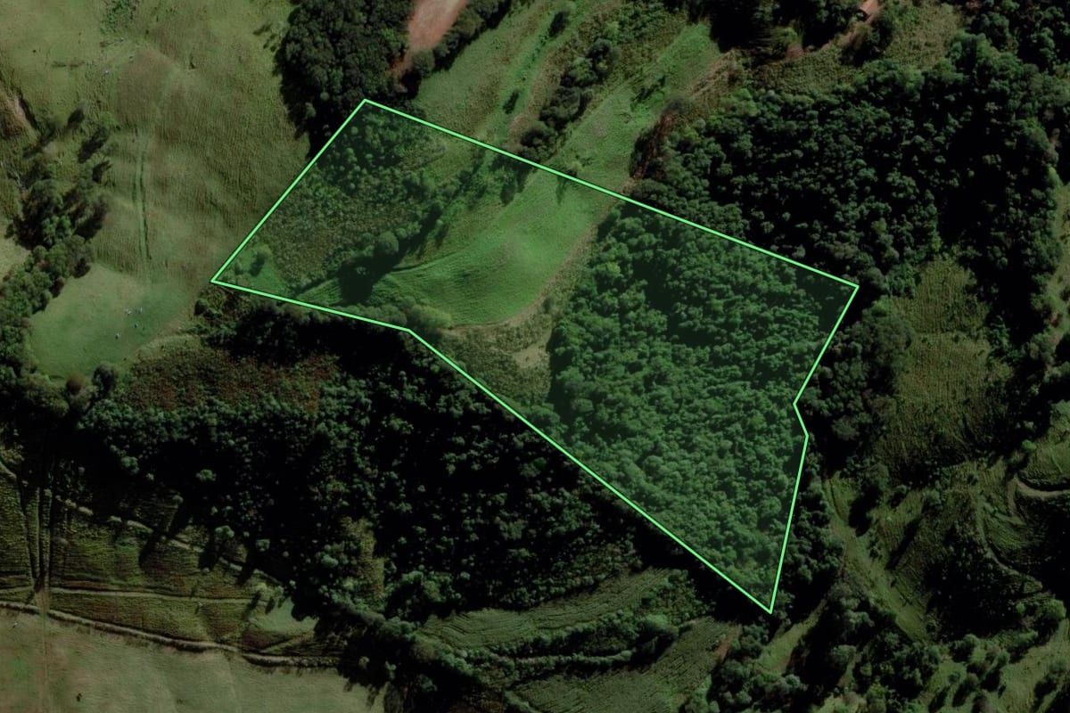 Imagem de satélite do imóvel rural em Campo Erê (SC), com o contorno declarado no CAR desenhado por cima.