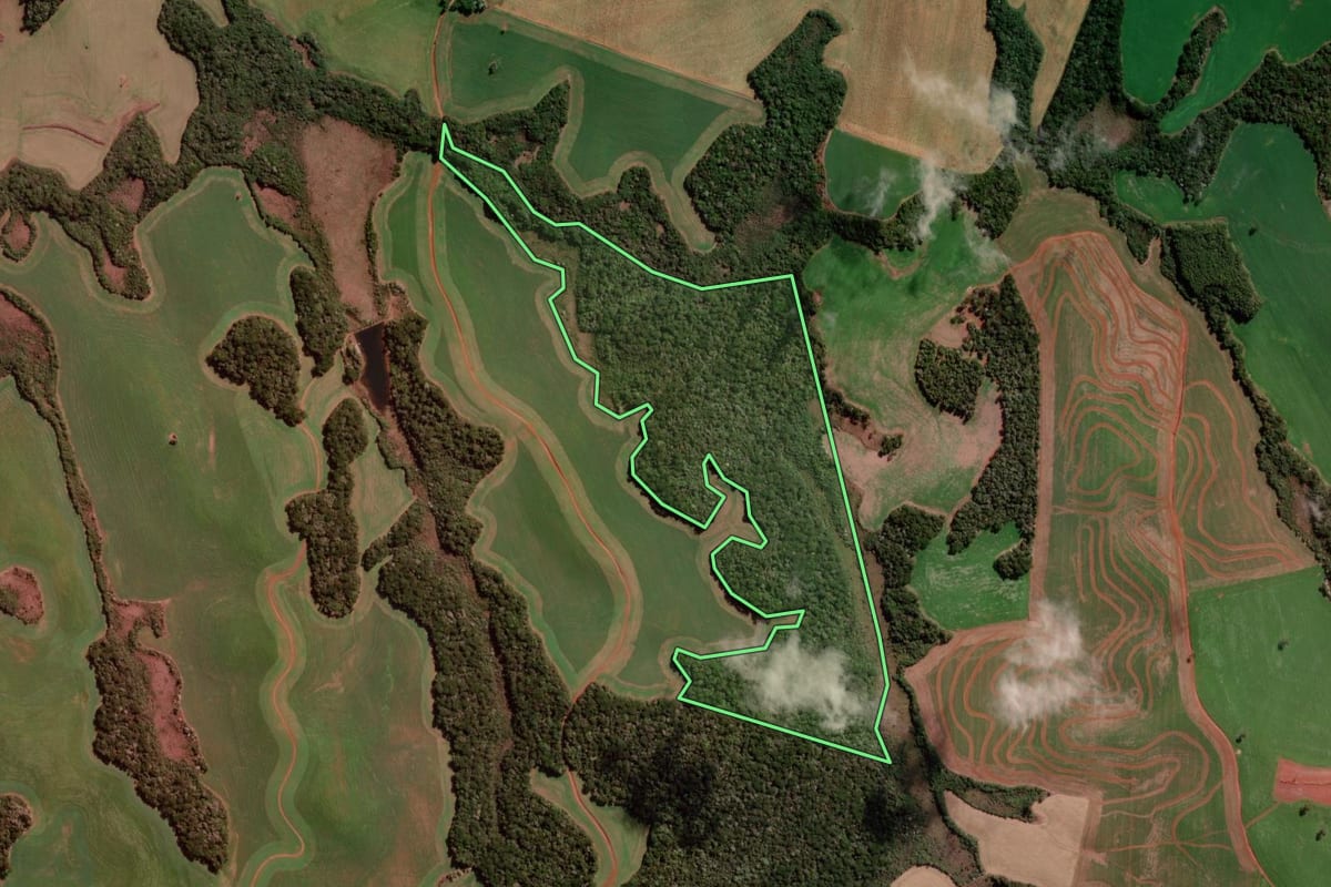 Imagem de satélite do imóvel rural em Campo Erê (SC), com o contorno declarado no CAR desenhado por cima.