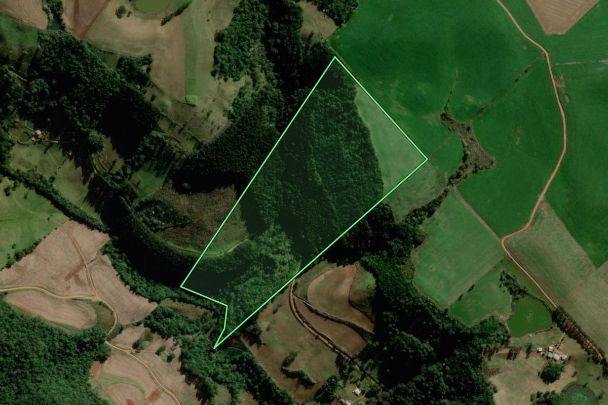 Imagem de satélite do imóvel rural em Campo Erê (SC), com o contorno declarado no CAR desenhado por cima.