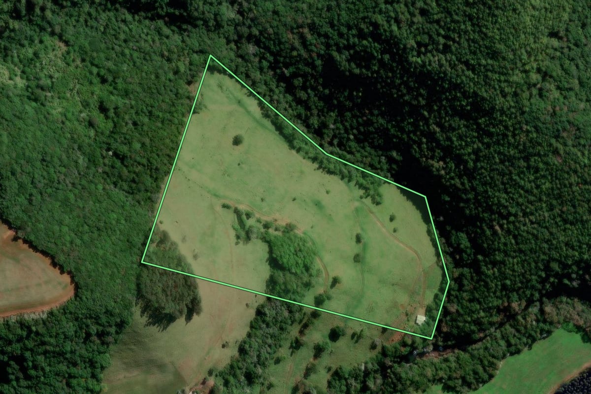 Imagem de satélite do imóvel rural em Campo Erê (SC), com o contorno declarado no CAR desenhado por cima.