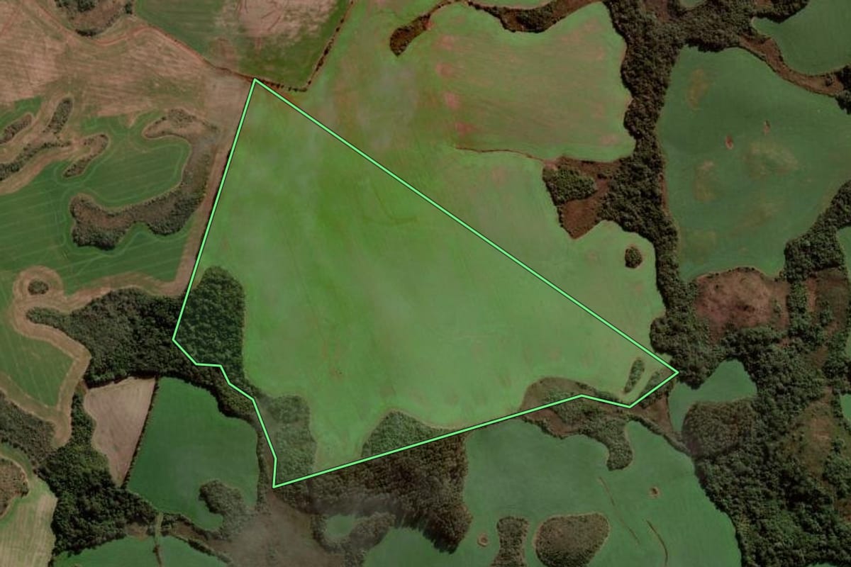 Imagem de satélite do imóvel rural em Campos Novos (SC), com o contorno declarado no CAR desenhado por cima.