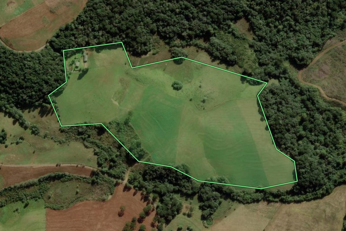 Imagem de satélite do imóvel rural em Campos Novos (SC), com o contorno declarado no CAR desenhado por cima.