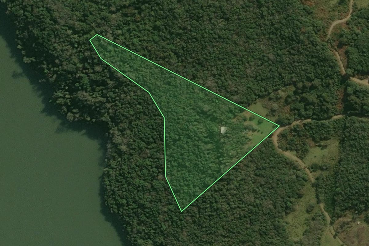 Imagem de satélite do imóvel rural em Campos Novos (SC), com o contorno declarado no CAR desenhado por cima.