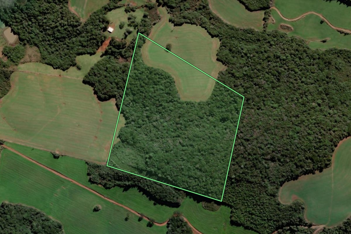 Imagem de satélite do imóvel rural em Campos Novos (SC), com o contorno declarado no CAR desenhado por cima.
