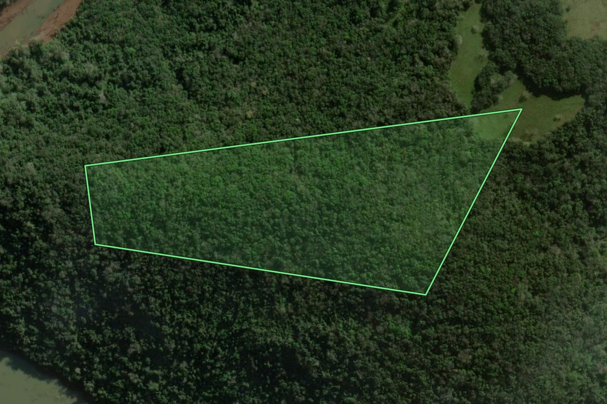 Imagem de satélite do imóvel rural em Campos Novos (SC), com o contorno declarado no CAR desenhado por cima.