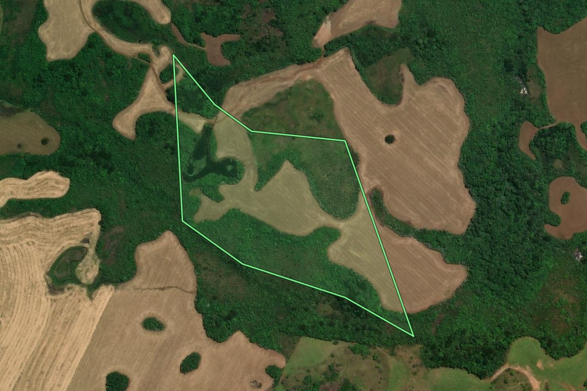 Imagem de satélite do imóvel rural em Campos Novos (SC), com o contorno declarado no CAR desenhado por cima.
