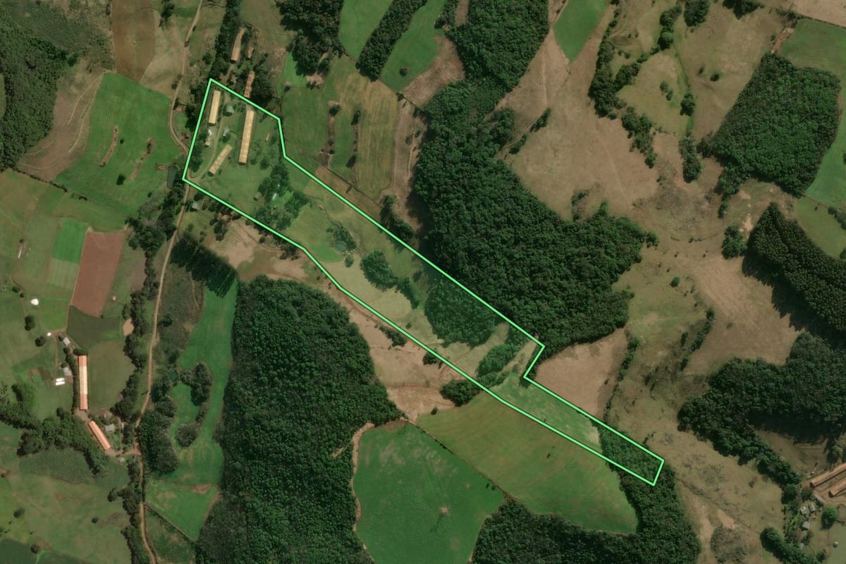 Imagem de satélite do imóvel rural em Campos Novos (SC), com o contorno declarado no CAR desenhado por cima.