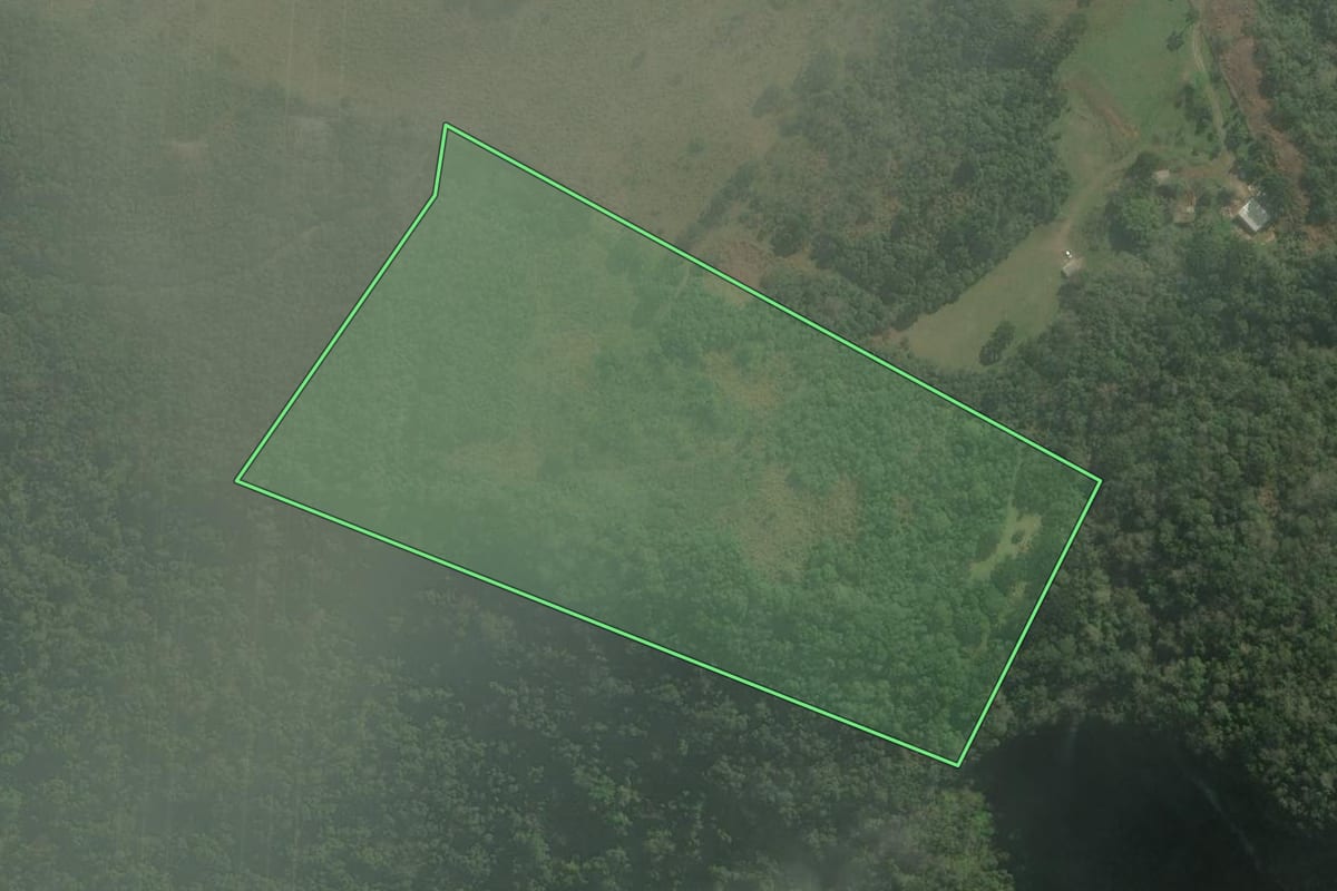 Imagem de satélite do imóvel rural em Campos Novos (SC), com o contorno declarado no CAR desenhado por cima.