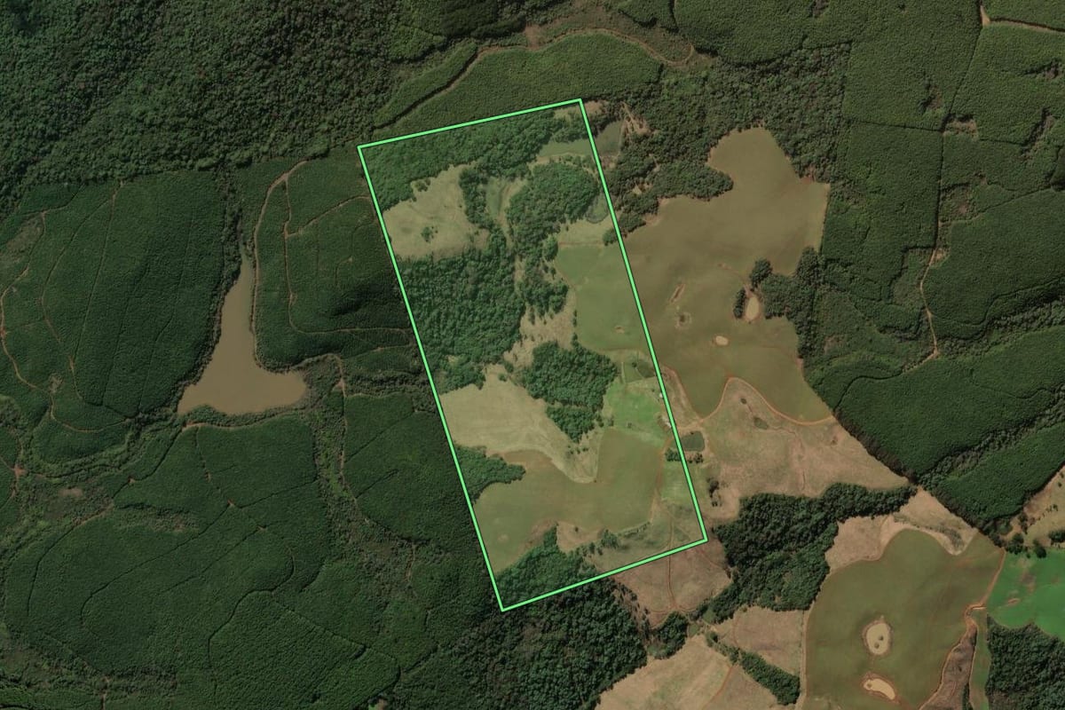 Imagem de satélite do imóvel rural em Campos Novos (SC), com o contorno declarado no CAR desenhado por cima.
