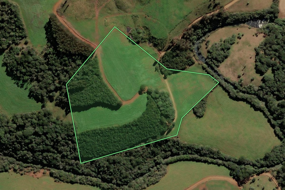 Imagem de satélite do imóvel rural em Campos Novos (SC), com o contorno declarado no CAR desenhado por cima.