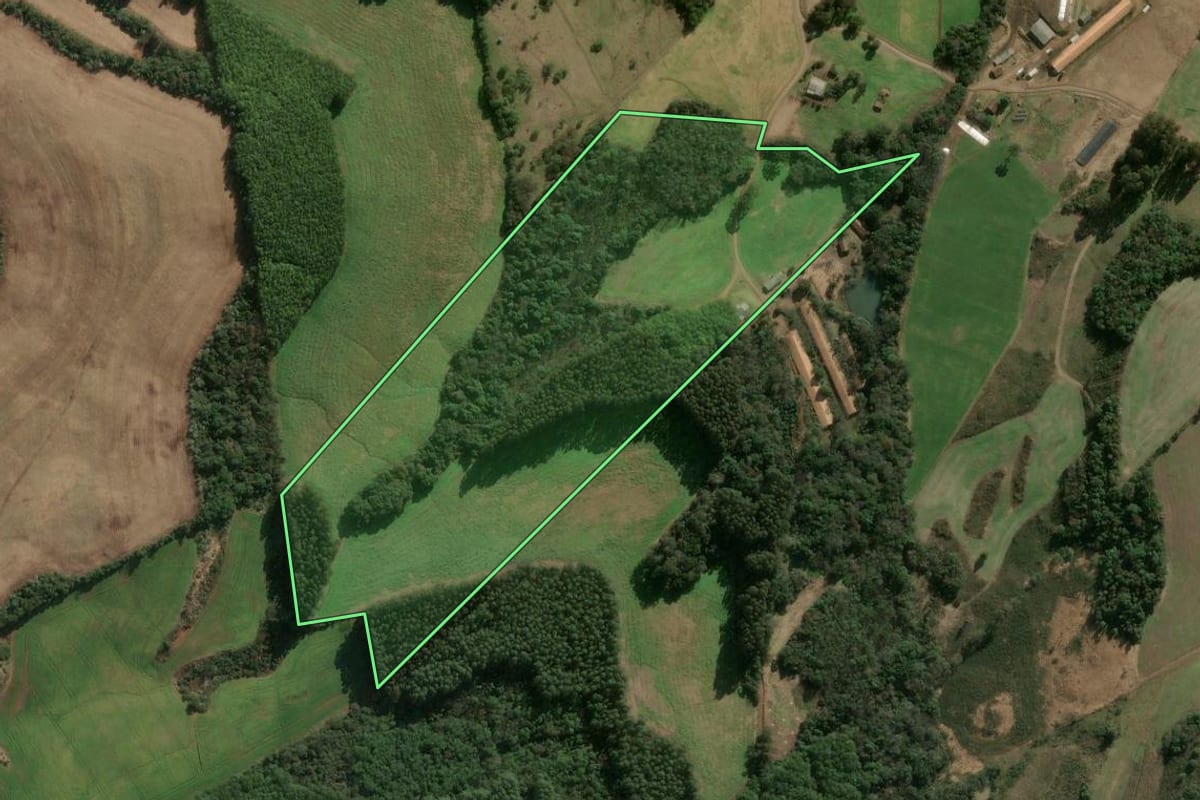 Imagem de satélite do imóvel rural em Campos Novos (SC), com o contorno declarado no CAR desenhado por cima.