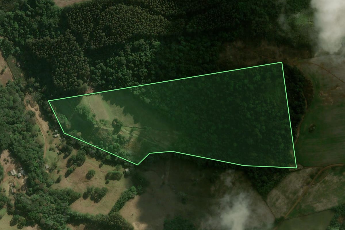 Imagem de satélite do imóvel rural em Campos Novos (SC), com o contorno declarado no CAR desenhado por cima.