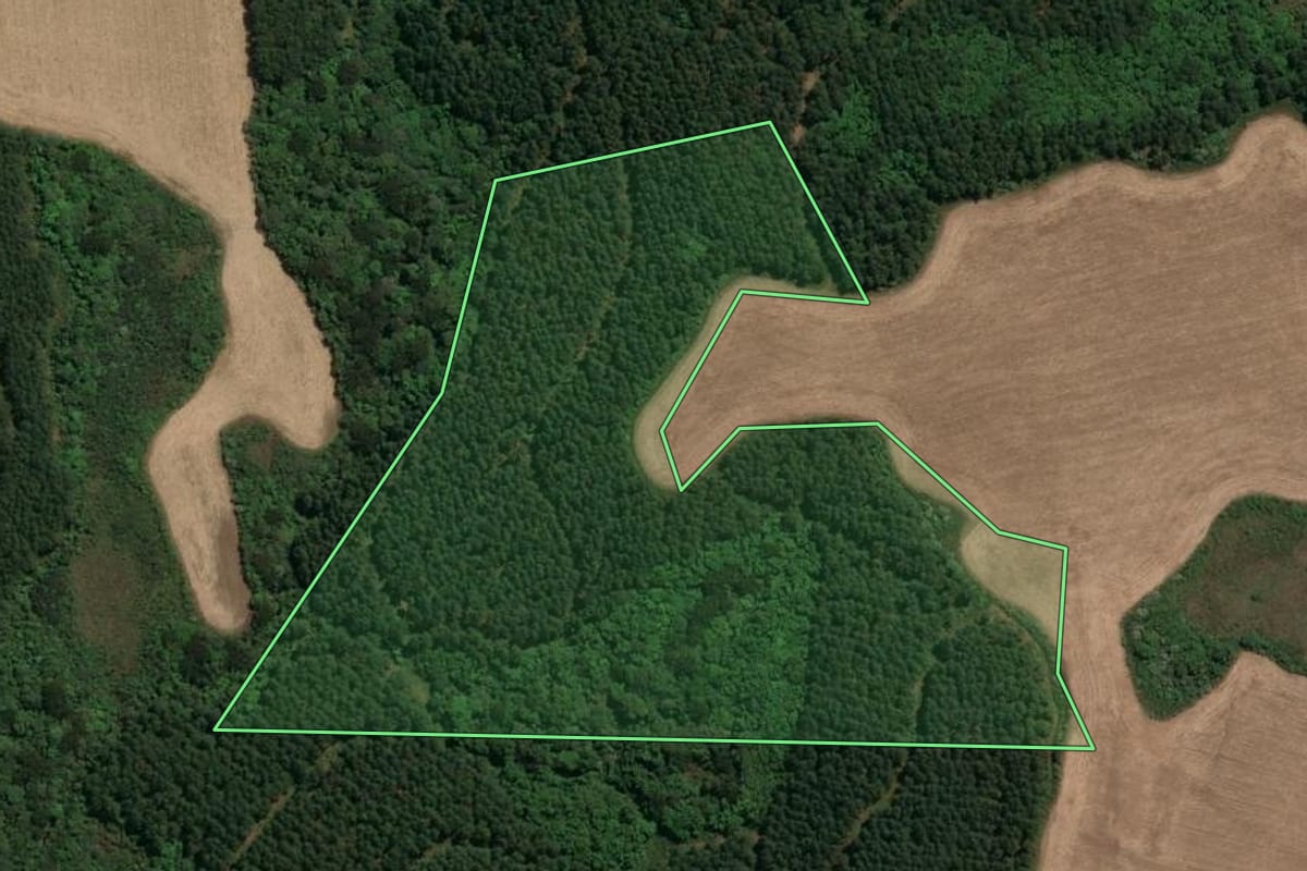 Imagem de satélite do imóvel rural em Campos Novos (SC), com o contorno declarado no CAR desenhado por cima.
