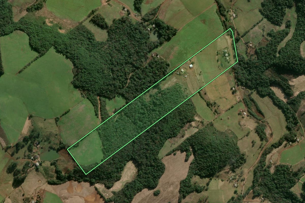Imagem de satélite do imóvel rural em Campos Novos (SC), com o contorno declarado no CAR desenhado por cima.