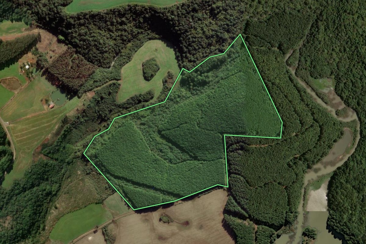 Imagem de satélite do imóvel rural em Campos Novos (SC), com o contorno declarado no CAR desenhado por cima.