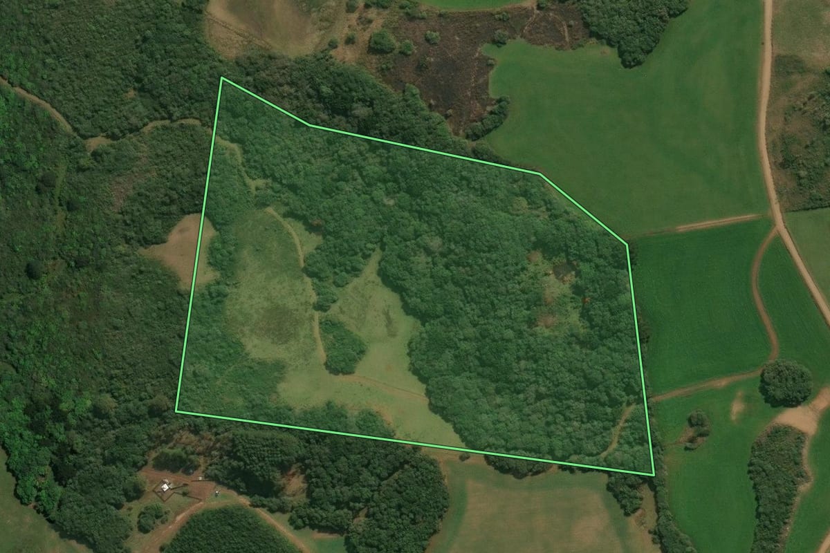 Imagem de satélite do imóvel rural em Campos Novos (SC), com o contorno declarado no CAR desenhado por cima.