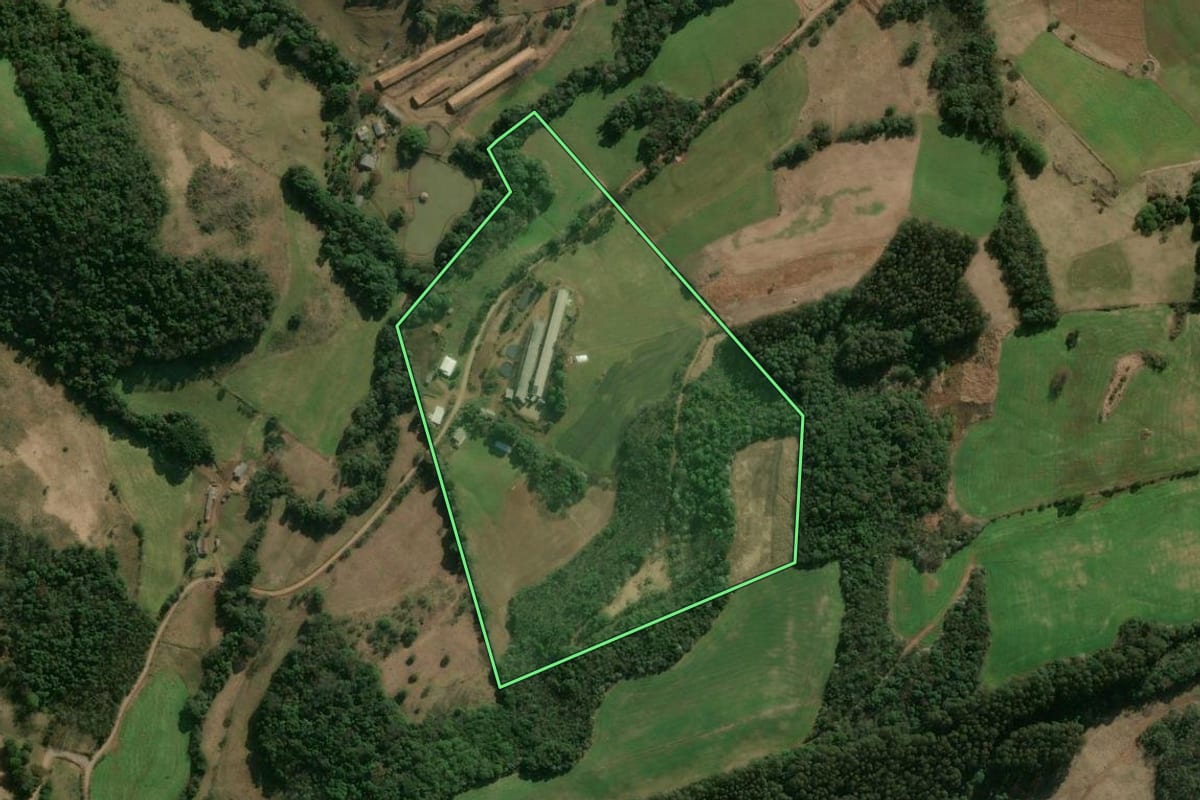 Imagem de satélite do imóvel rural em Campos Novos (SC), com o contorno declarado no CAR desenhado por cima.