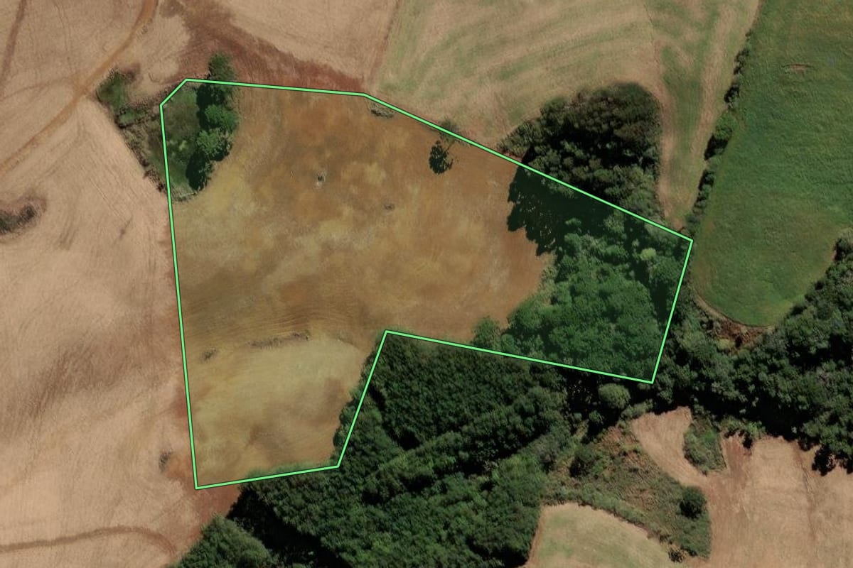 Imagem de satélite do imóvel rural em Campos Novos (SC), com o contorno declarado no CAR desenhado por cima.