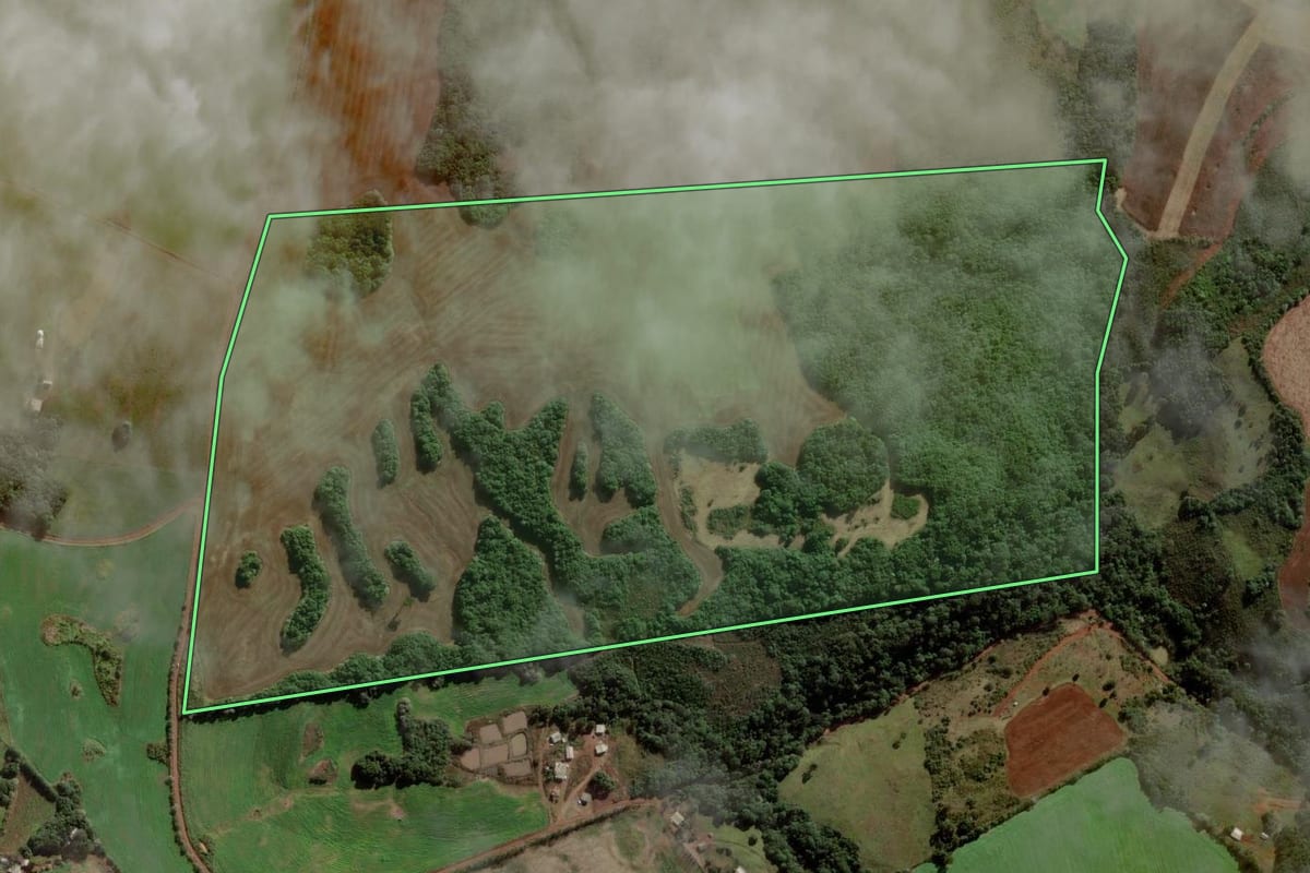 Imagem de satélite do imóvel rural em Campos Novos (SC), com o contorno declarado no CAR desenhado por cima.