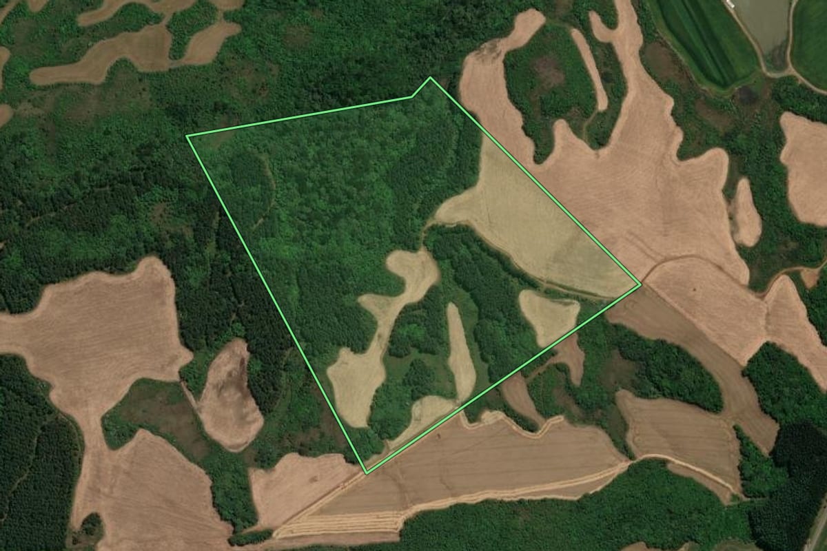 Imagem de satélite do imóvel rural em Campos Novos (SC), com o contorno declarado no CAR desenhado por cima.