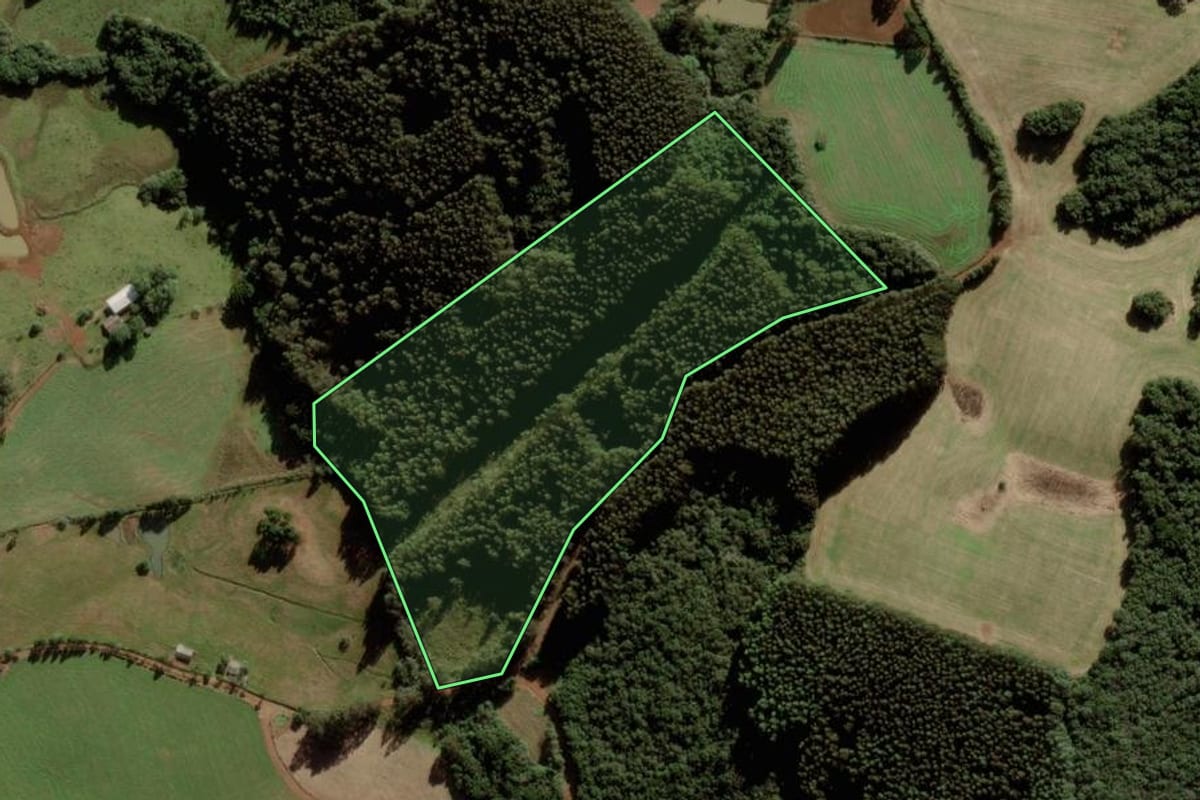 Imagem de satélite do imóvel rural em Campos Novos (SC), com o contorno declarado no CAR desenhado por cima.