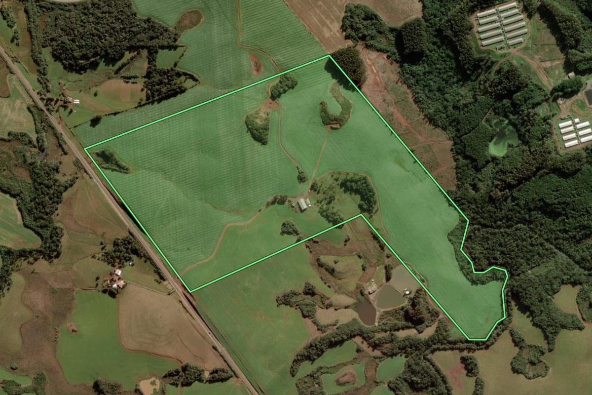 Imagem de satélite do imóvel rural em Campos Novos (SC), com o contorno declarado no CAR desenhado por cima.