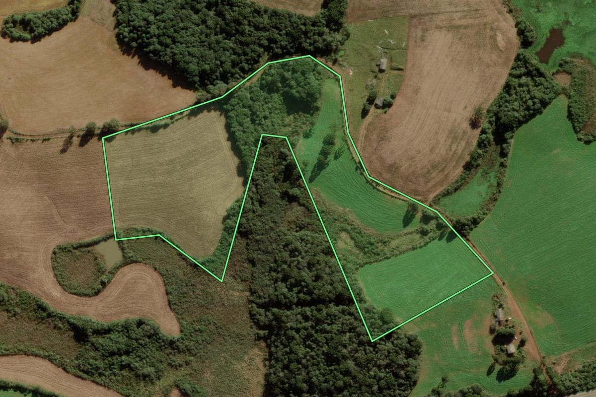 Imagem de satélite do imóvel rural em Campos Novos (SC), com o contorno declarado no CAR desenhado por cima.