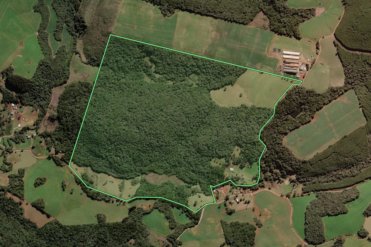 Imagem de satélite do imóvel rural em Campos Novos (SC), com o contorno declarado no CAR desenhado por cima.