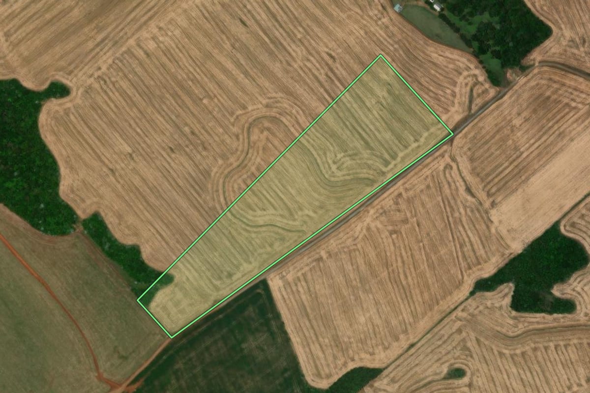 Imagem de satélite do imóvel rural em Campos Novos (SC), com o contorno declarado no CAR desenhado por cima.