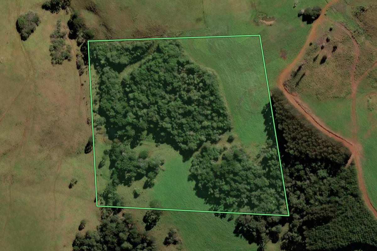 Imagem de satélite do imóvel rural em Campos Novos (SC), com o contorno declarado no CAR desenhado por cima.