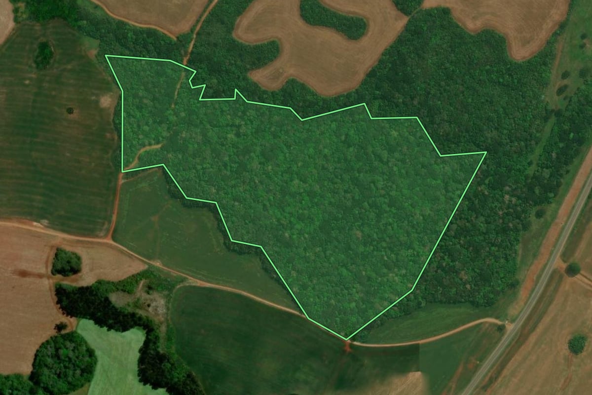 Imagem de satélite do imóvel rural em Campos Novos (SC), com o contorno declarado no CAR desenhado por cima.