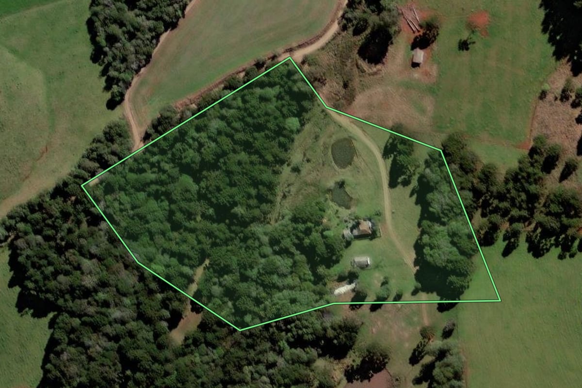 Imagem de satélite do imóvel rural em Campos Novos (SC), com o contorno declarado no CAR desenhado por cima.