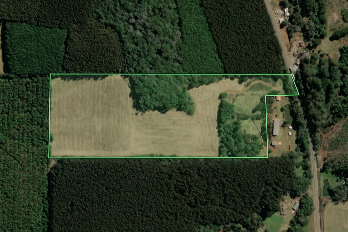 Imagem de satélite do imóvel rural em Campos Novos (SC), com o contorno declarado no CAR desenhado por cima.
