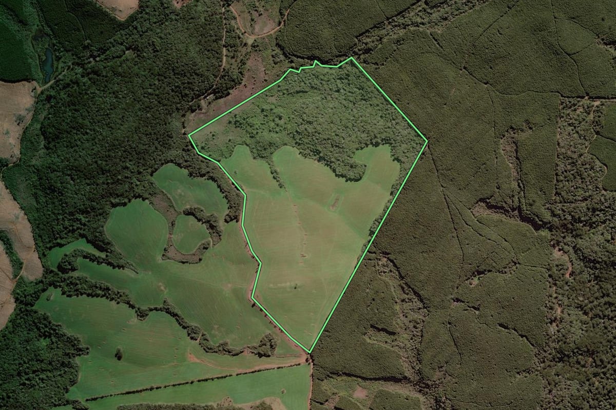 Imagem de satélite do imóvel rural em Campos Novos (SC), com o contorno declarado no CAR desenhado por cima.