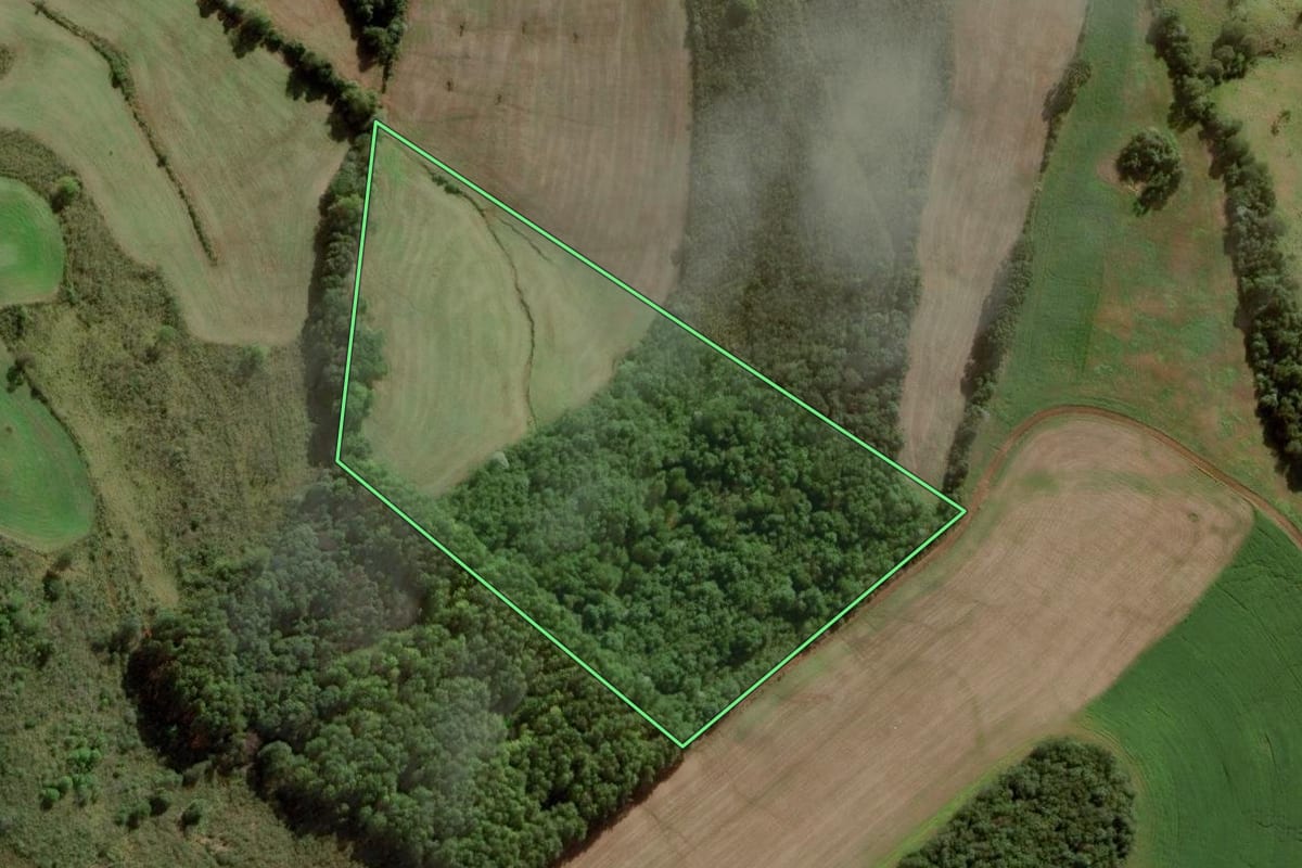 Imagem de satélite do imóvel rural em Campos Novos (SC), com o contorno declarado no CAR desenhado por cima.
