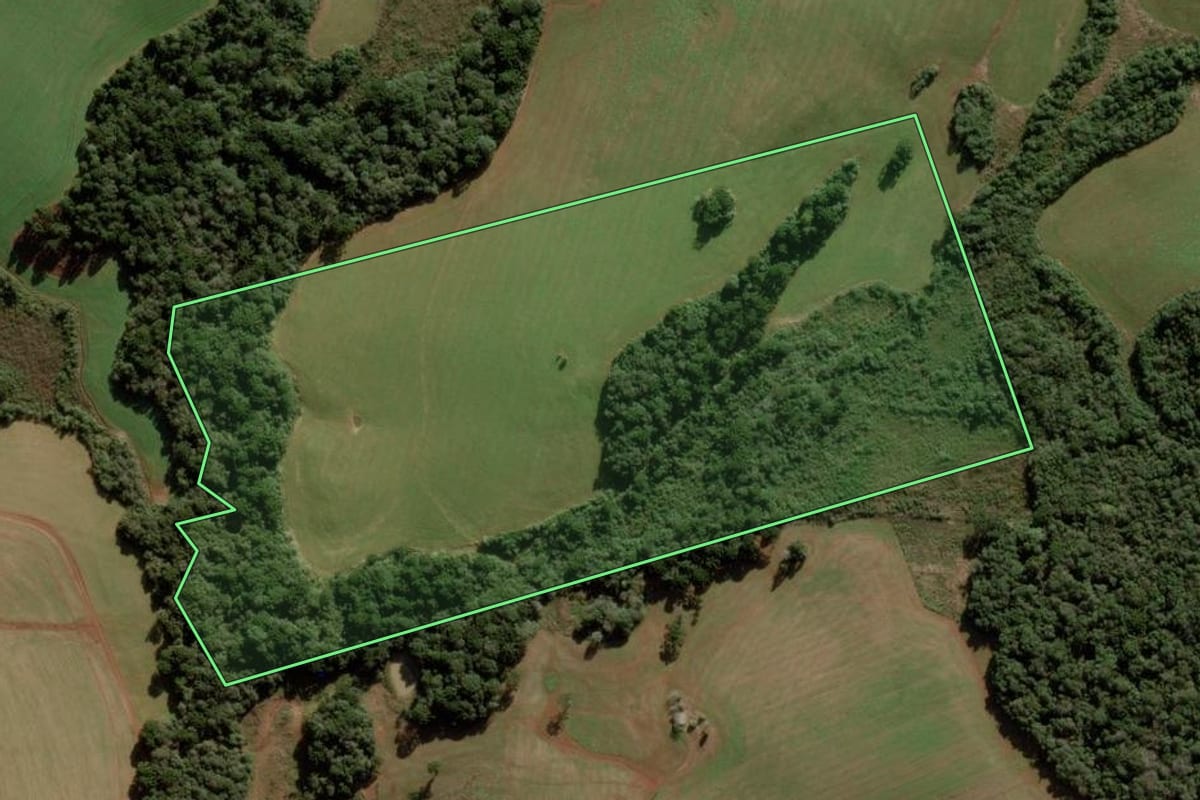 Imagem de satélite do imóvel rural em Campos Novos (SC), com o contorno declarado no CAR desenhado por cima.